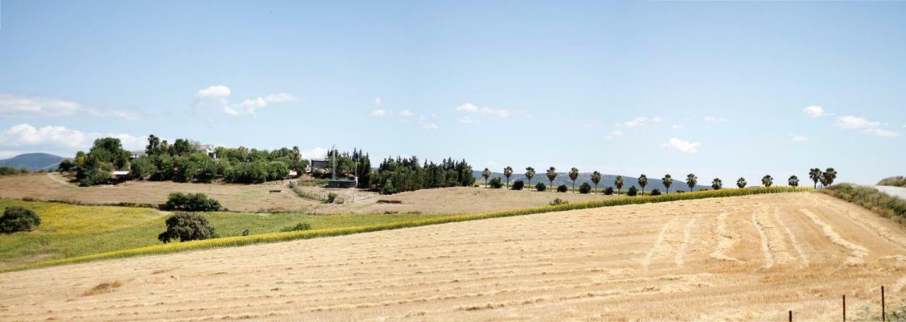 Villa Cortijo con piscina a 30 min de Jerez Arcos de la Frontera Exterior foto