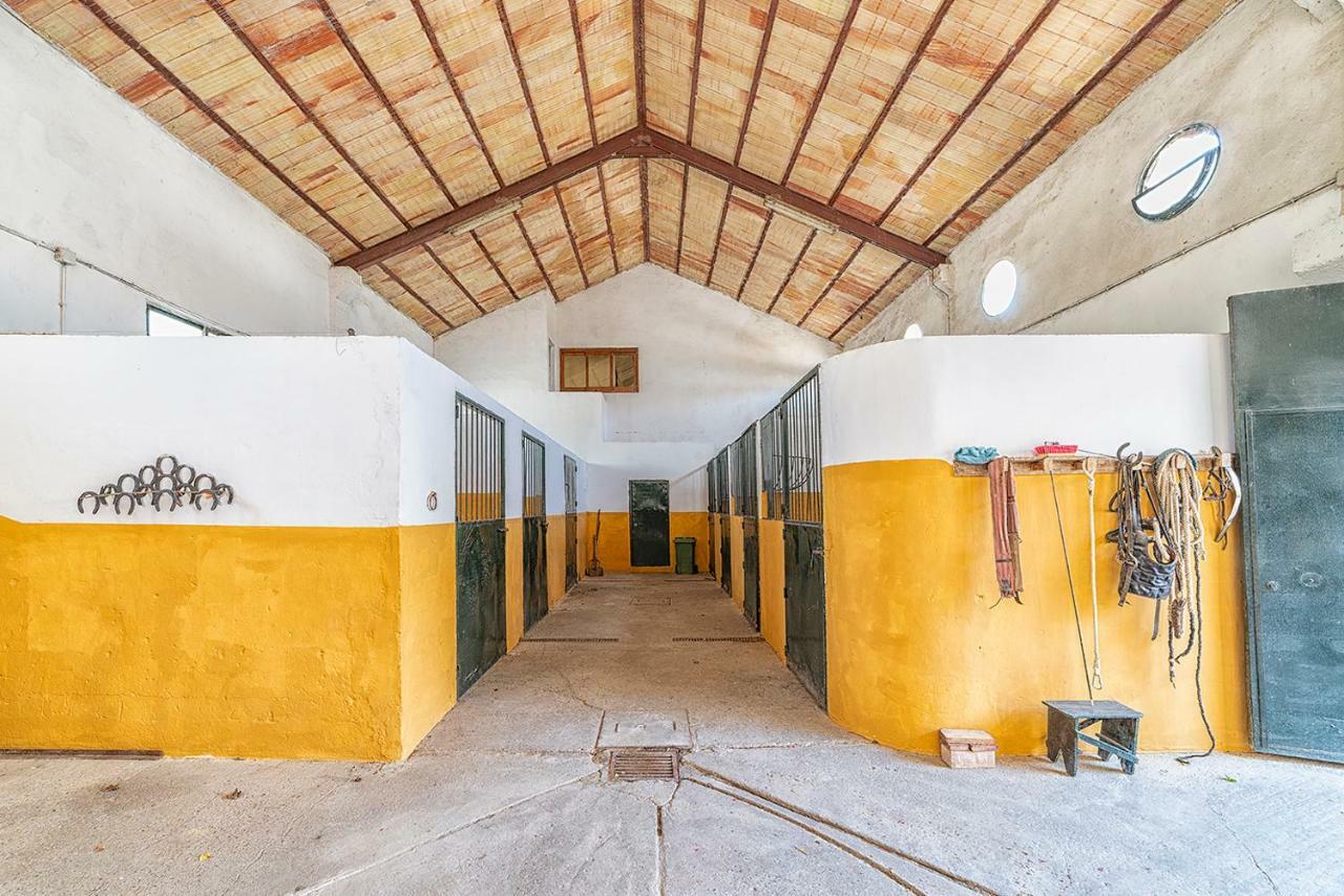 Villa Cortijo con piscina a 30 min de Jerez Arcos de la Frontera Exterior foto