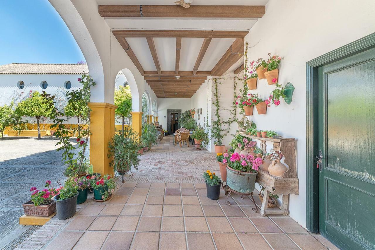 Villa Cortijo con piscina a 30 min de Jerez Arcos de la Frontera Exterior foto