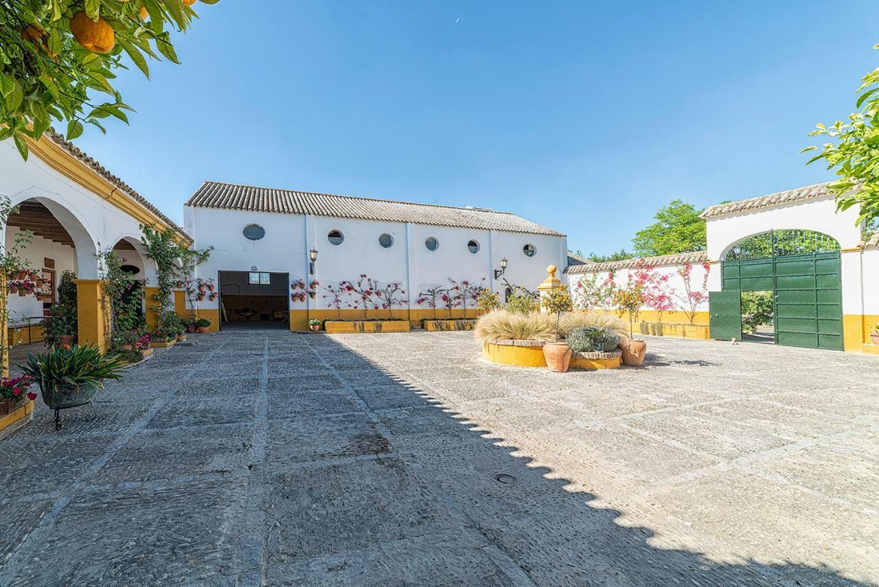 Villa Cortijo con piscina a 30 min de Jerez Arcos de la Frontera Exterior foto
