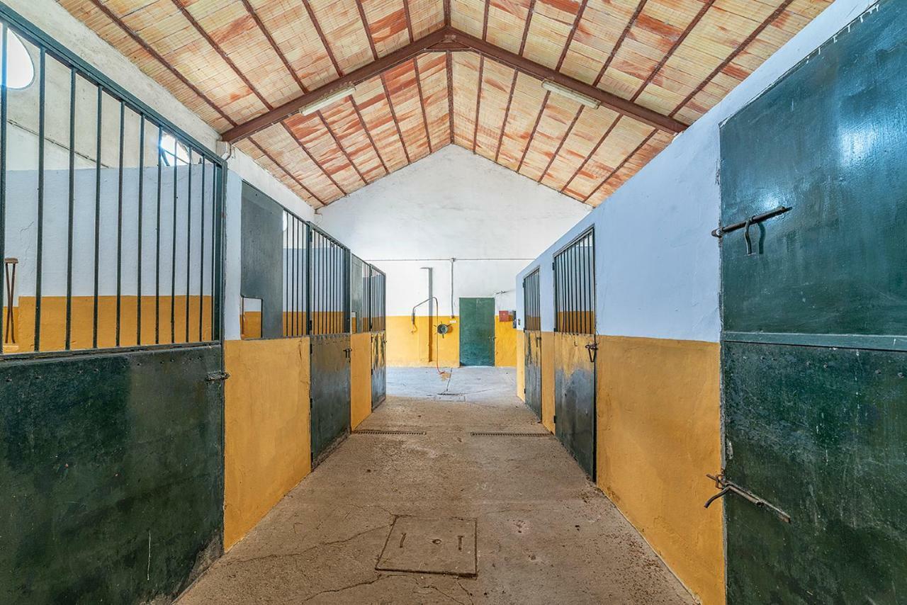 Villa Cortijo con piscina a 30 min de Jerez Arcos de la Frontera Exterior foto